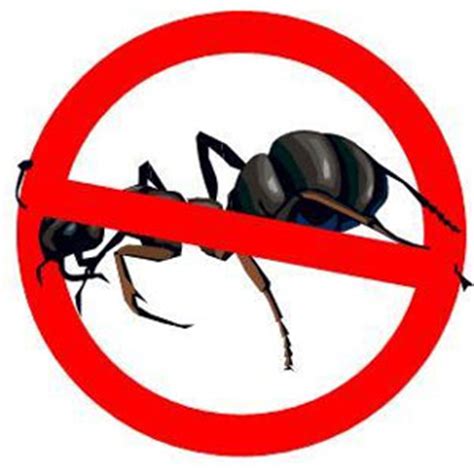 Goldy pest control services in panchkula, chandigarh, mohali, zirakpur is an imaginative nuisance control arrangements supplier with an edge. Anti Termite Treatment | Pest Control Services
