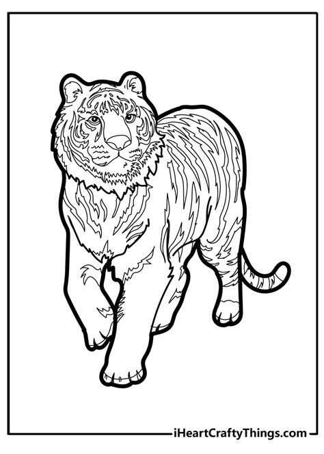 Tiger Coloring Pages Pdf Coloringfolder Com Animal Coloring Pages