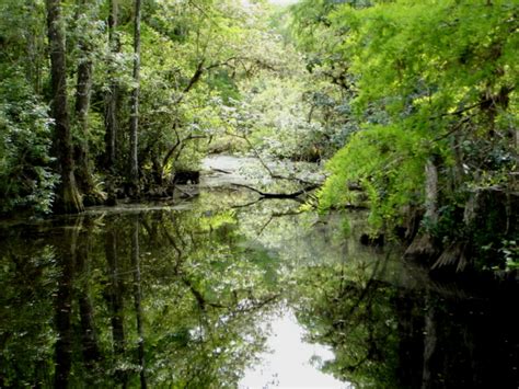 Parque Nacional Dos Everglades Wikitravel