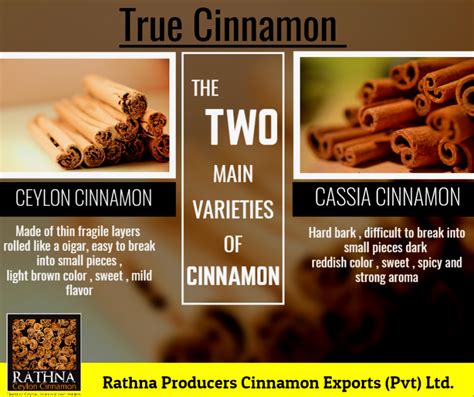 How Many Varieties Of Cinnamon Are There Aetremarkabledesigns