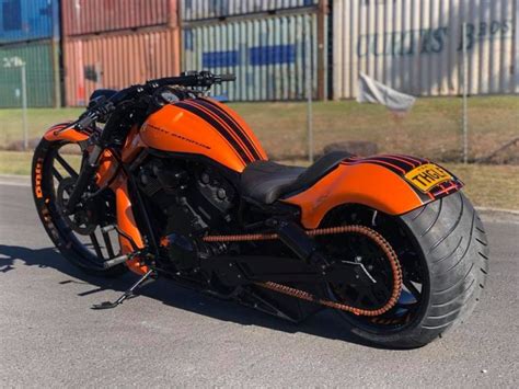 Harley Davidson Night Rod Custom By Dgd Custom Review