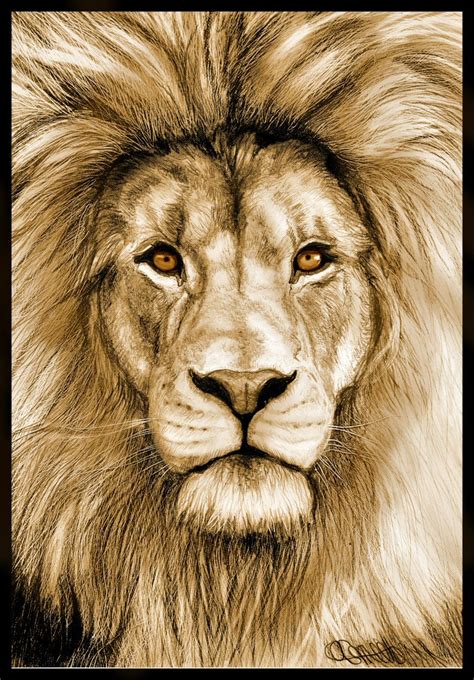 50 Splendid Pencil Drawings – SloDive