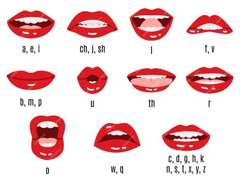 입 소리 발음 입술 음소 애니메이션 붉은 입술 표현 이야기 입 음성 동기화 발음 기호 세트 입 언어 영어 소리 말하기