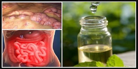Memangkas lemak di sekitar lingkar pinggang anda berpotensi tidak hanya untuk meningkatkan rasa percaya diri anda, tetapi juga untuk mengurangi risiko penyakit jantung dan diabetes. Cara membuang Racun Dalam Tubuh Mencegah Sembelit ...
