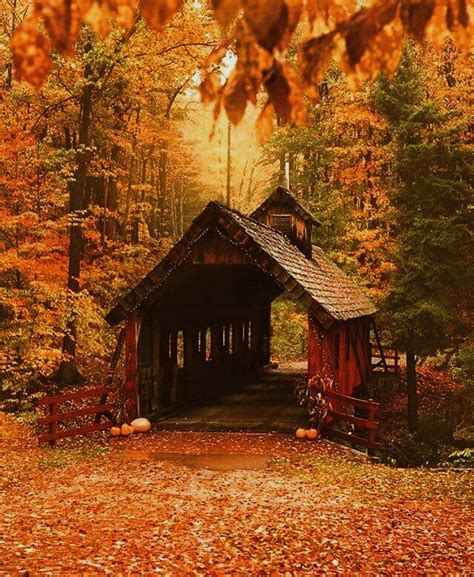 Halloween And Autumn 👻🍂 On Instagram “beautiful Bridge I Hope