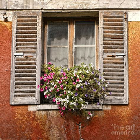 An Old French Window Photograph By Olivier Le Queinec Pixels