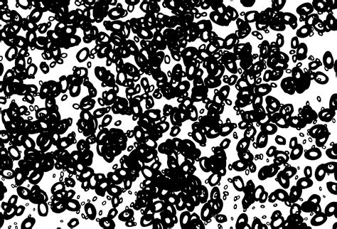 Black And White Vector Layout With Circle Shapes 12239397 Vector Art