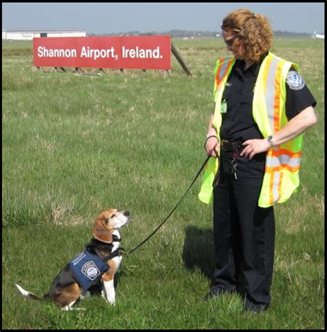 Us customs and border protection. Agriculture Canine | U.S. Customs and Border Protection