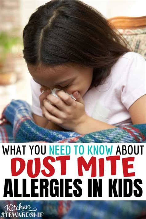 Ultimate Guide To Managing Dust Allergies In Your Home 2021 Kitchen