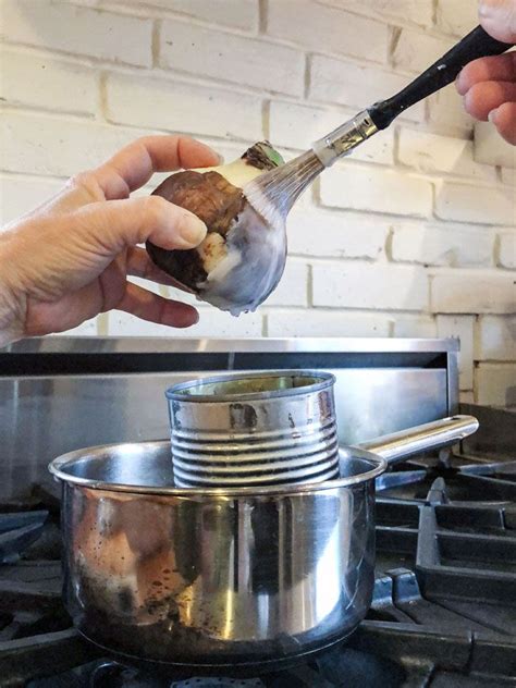 Hollandbulbfarms.com has been visited by 10k+ users in the past month How to Make Wax Dipped Amaryllis Bulbs. | Amaryllis bulbs ...