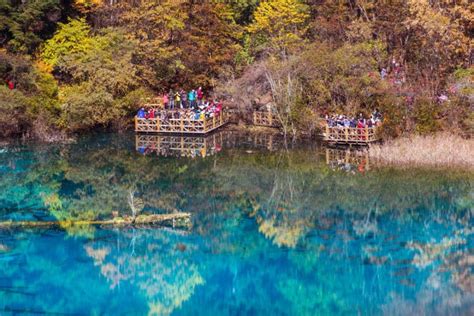 Lac Des Cinq Fleurs En Chine Le Joyau Du Parc De Jiuzhaigou