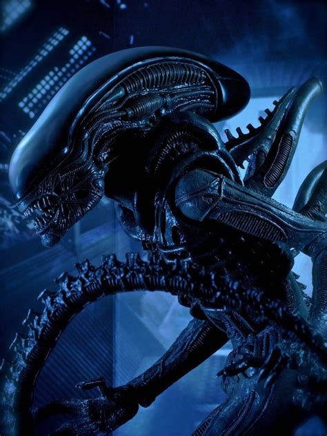 Alien Novo Filme Pelo Hulu Fala Animal