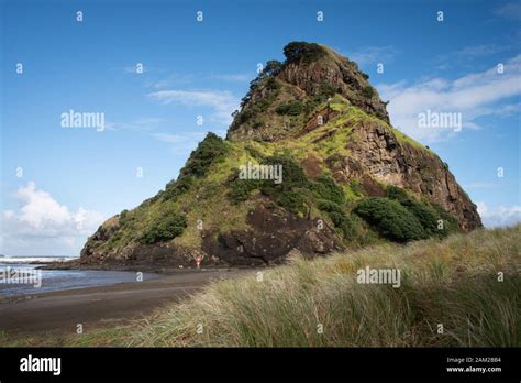 Lion Rock At Piha Beach West Auckland New Zealand Stock Photo Alamy