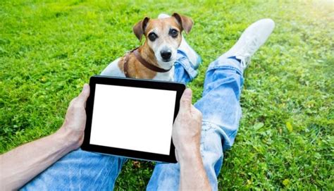 20 Best YouTube Channels for Dog Lovers