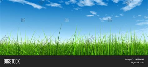 High Resolution 3d Green Grass Over Image And Photo Bigstock