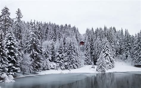 Cabin Forests Frozen Lake Nature Pine Trees Winter