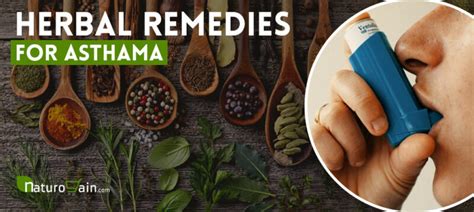 8 Best Herbal Remedies For Asthma That Relieve Symptoms Naturally