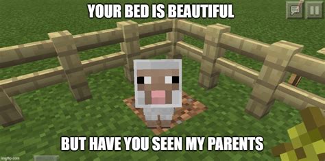 Image Tagged In Minecraft Sheep Imgflip
