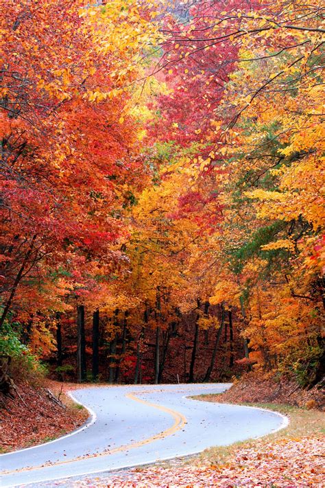 10 Best Places To See Fall Foliage In Georgia - Follow Me Away