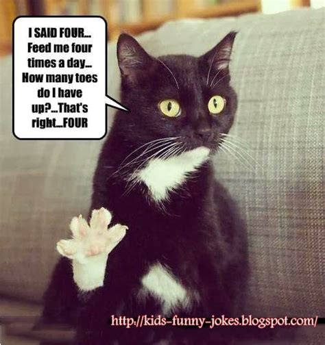 Funny Jokes For Kids Funny Pics Of Cats