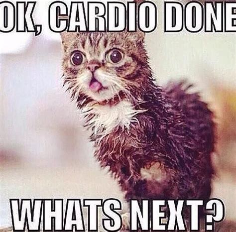 Cardio Fitness Memes Fitness Logo Humour Fitness Gym Humour Yoga