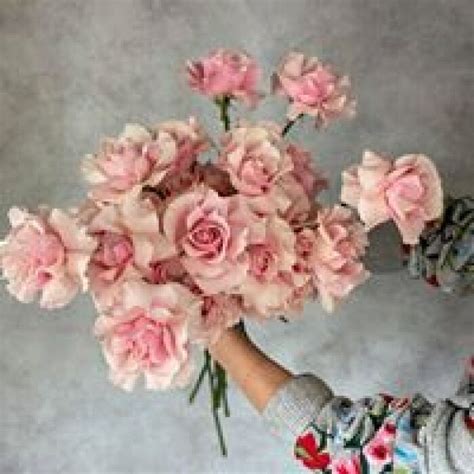 Our talented team are passionate about creating beautiful floral arrangements for customers across sydney. Diary of a Flower Delivery Courier in Sydney.