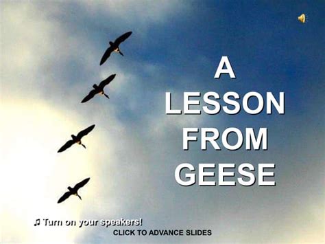 Leadership Lessons From Geese