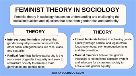 Feminist Theory In Sociology Deinition Types And Principles