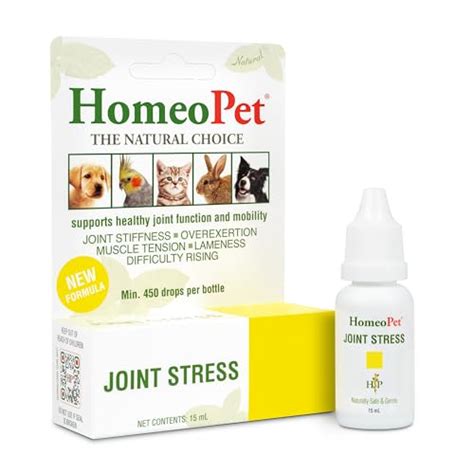 Pain Meds For Dogs The Complete Guide To Pain Relief For Dogs