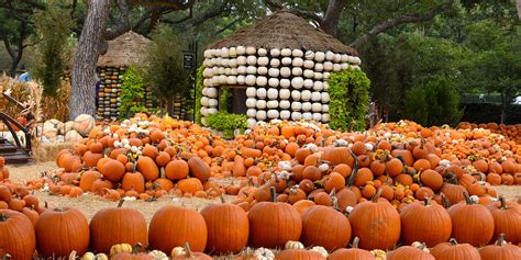 25 Of The Best Fall Festivals To Celebrate The Season