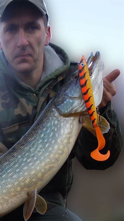 River Piker New To Lure Fishing The Casual Lure Anglers Guide