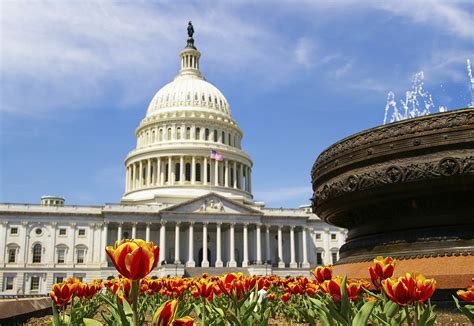 Establishment of the first bank of the united states. Burwell Accused Of Contempt Before Senate Finance Committee