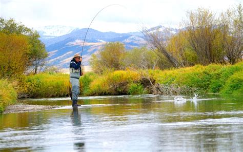 Fly Fishing Bozeman Montana An Anglers Guide Into Fly Fishing