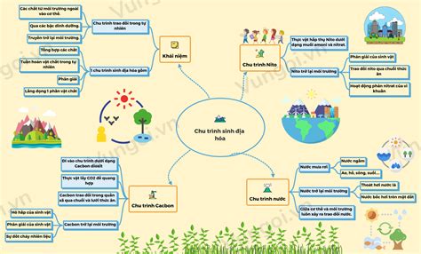 Lý Thuyết Sơ đồ Tư Duy Chu Trình Sinh địa Hóa Sinh 12