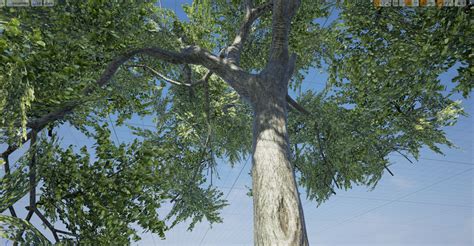 Tree With Connected Branches Blender Tests Blender Artists Community