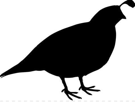 Flying Quail Silhouette At Getdrawings Free Download