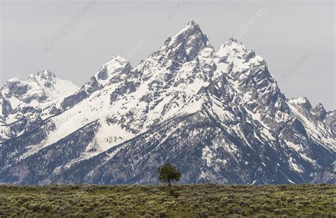 A Snowy Mountain Range Grand Tetons Stock Image F0102527