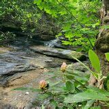 Hidden Falls Trail South Carolina Alltrails