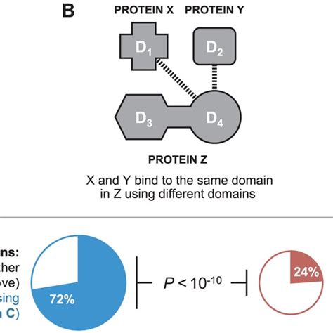Viral Proteins Target Lmb Domains At Greater Density Than Human