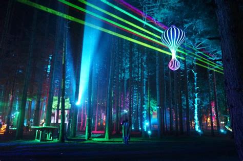 25 Glorious Electric Forest Art Installations