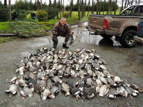 Las Flores Argentina Duck Hunting Ramsey Russells