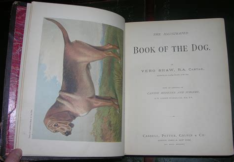 The Illustrated Book Of The Dog Par Shaw Vero Kemball 1881