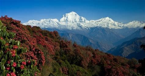 Nepal Geography And Maps Goway Travel