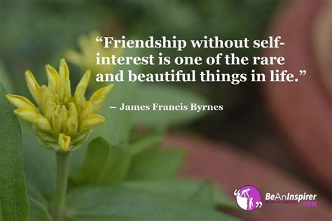 Top 100 Friendship Quotes and Sayings (with Nature Photographs