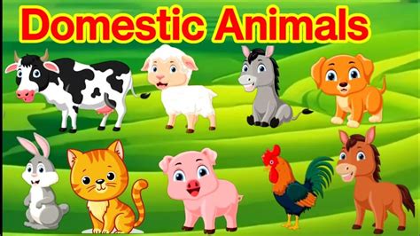 Domestic Animals Farm Animals Domestic Animals For Kids Name Of