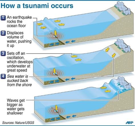 Projenizin bütçesine uygun fiyatlı, yüksek kaliteli cutaway diagram typical tsunami inundation. Unique Japan tsunami footage boon to scientists