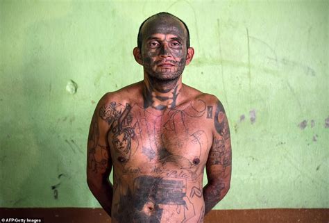 The ms13 tattoo can be found on any part of the body, but it is mostly tattooed on highly prominent places like the hands, neck, or even the face. Former gang members in an El Salvadorian prison cross ...