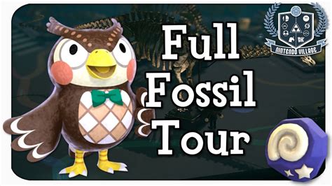Animal Crossing New Horizons Fossil Guide and Completed Museum Tour