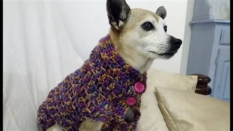 Easy Crochet Dog Sweater Any Size Tutorial Youtube