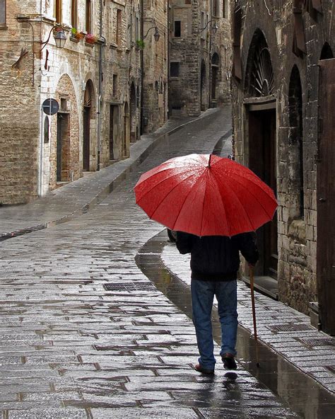 A Lonely Walk On A Rainy Day Shutterbug